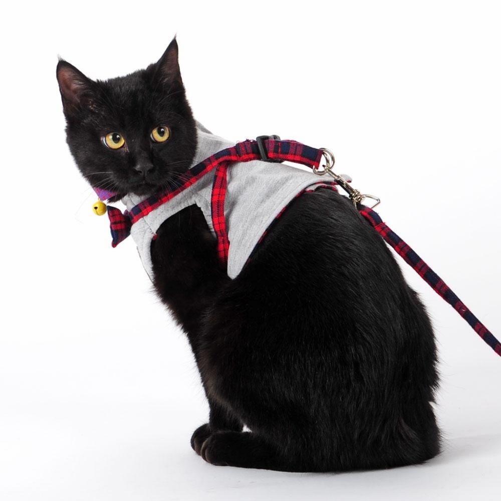 SOLD!  FANCY BOWTIE Cat Leash Collar Harness Leash